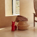 キツネリスのシリル（Cyril Squirrel Fox）