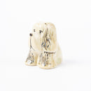 狗窩西班牙獵犬懷特