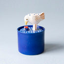 Message from the sky