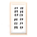 黑色墨水繪畫-DOG面孔No. 6（長 / fut）