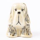 狗窩西班牙獵犬懷特