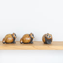 Shinjutanuki（Shigaraki Ware）