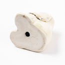 狗窩西班牙獵犬懷特