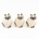 MIA培養基（白灰色）