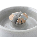 獨特的QuastFat Flower