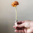 小狗花瓶（狗叫）