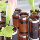 四月花瓶（生薑）