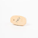 ミニズー2020　ライオン