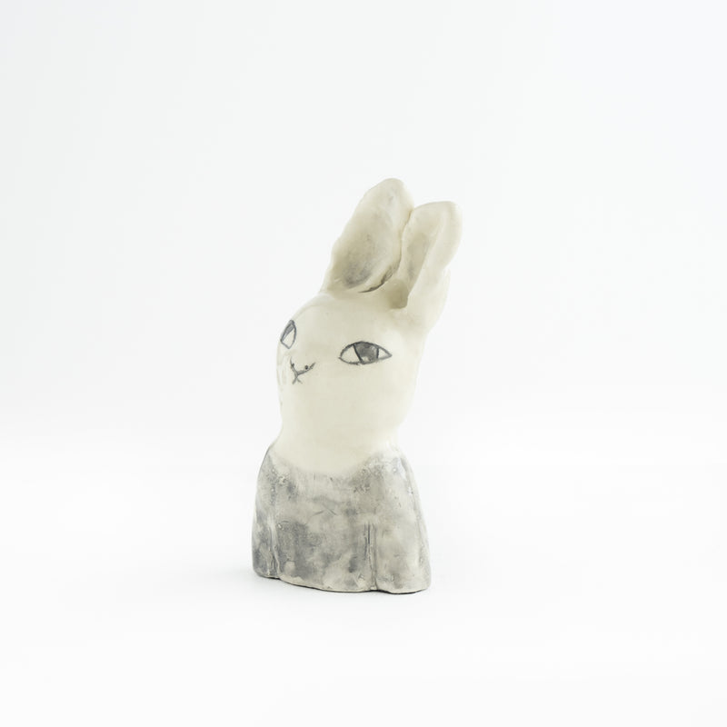 Rabbit in the wind NO.01