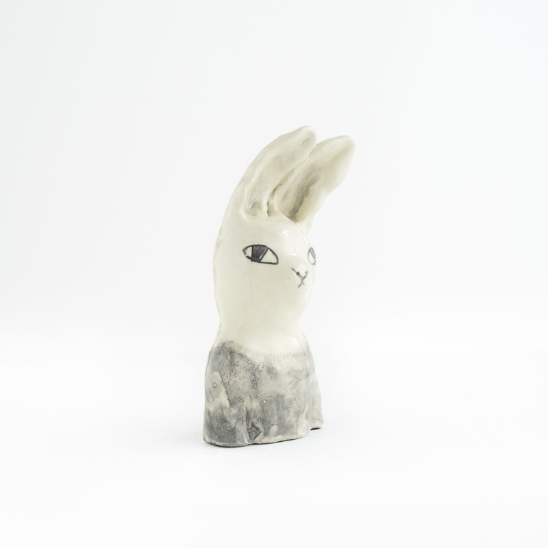 Rabbit in the wind NO.01