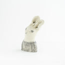 Rabbit in the wind NO.03