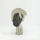 A cat on my head NO.01