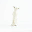 White fox standing NO.02