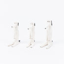 花瓶（狗命名）