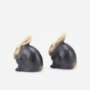 諾薩吉（黑色）