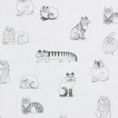 博伊爾·蕾絲窗簾（素描貓）