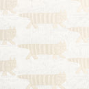 jaguard蕾絲窗簾（Mikey /棉花喜歡）