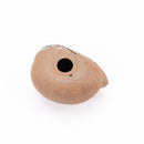 莉拉動物園貓說謊