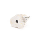 狗窩西班牙獵犬