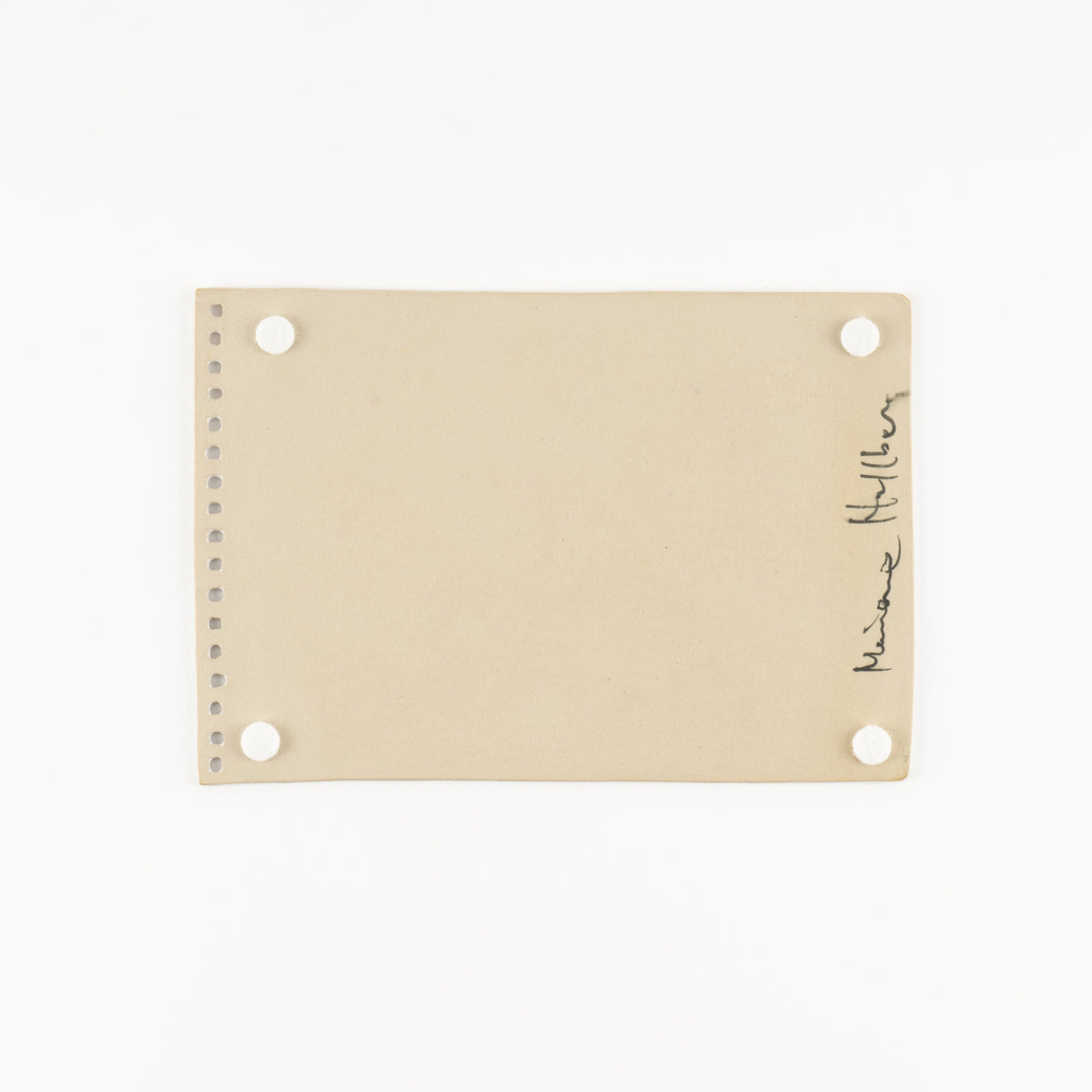 ぞうのスケッチブック