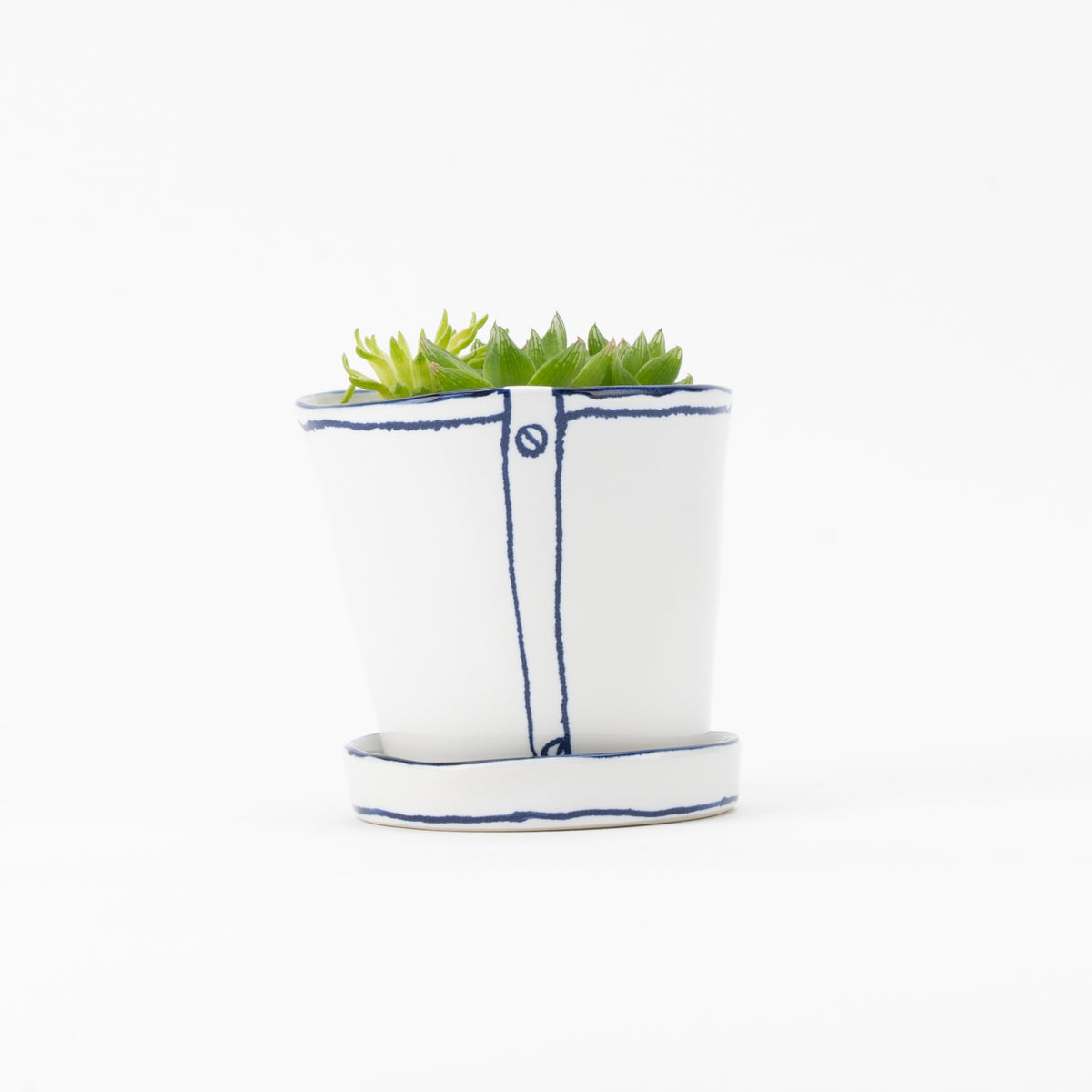 バケツの植木鉢（寄せ植え・ハオルシア）(seto)