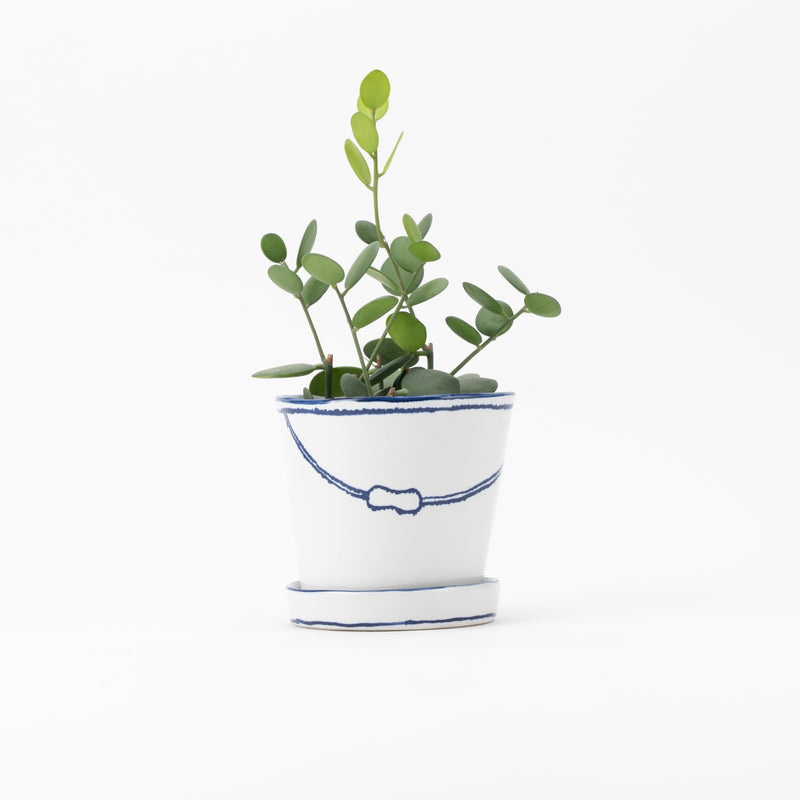 Bucket flower pot (single planting / green drum) (SETO)